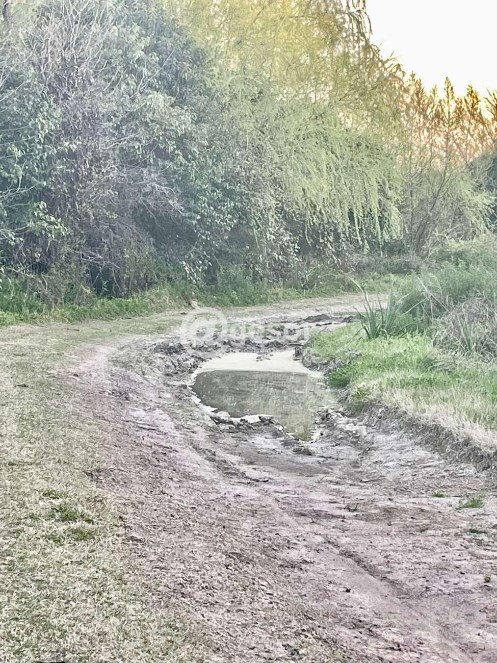 Image6